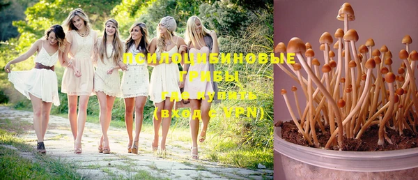 спайс Пересвет