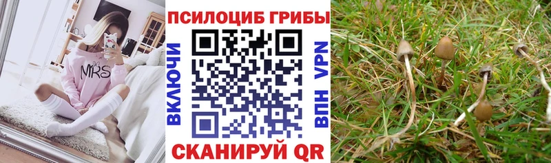 Галлюциногенные грибы Magic Shrooms  OMG ссылки  Мирный  где найти наркотики 