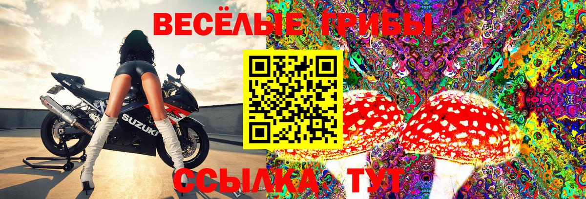 Галлюциногенные грибы Magic Shrooms Мирный