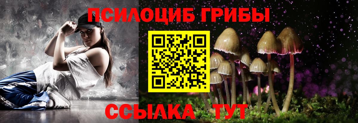 Псилоцибиновые грибы прущие грибы  Вход с VPN  Псилоцибиновые грибы Cubensis  Мирный 
